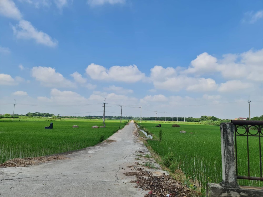 Huyện lên quận ở Hà Nội: Sẽ có những phường vẫn cấy lúa ảnh 1