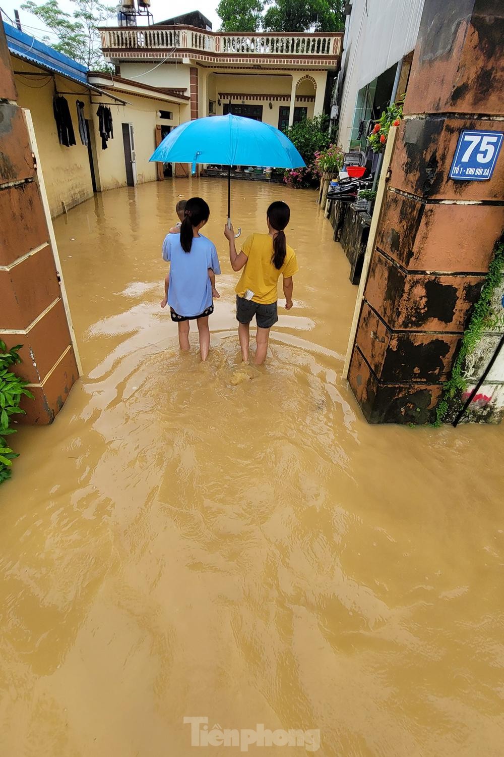 Người dân Chương Mỹ ngồi trên giường chờ nước rút ảnh 12
