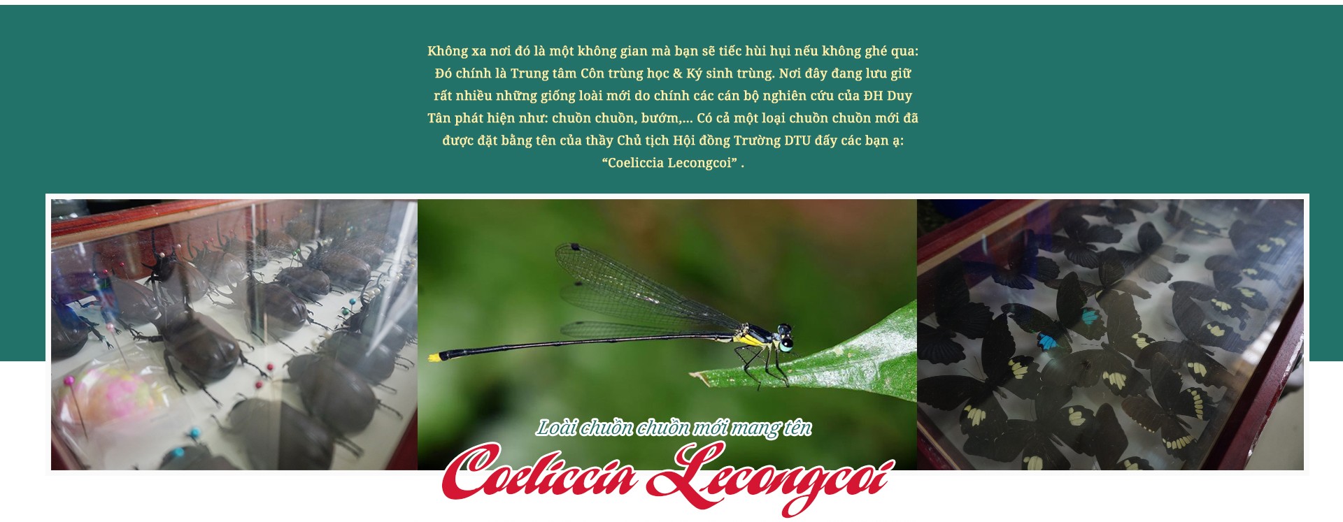 Campus Tour Đại học Duy tân DTU- Nơi bắt đầu của những sáng tạo… ảnh 15