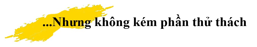 Mục kích đường chạy đẹp như mơ của Tiền Phong Marathon tại Lý Sơn ảnh 4