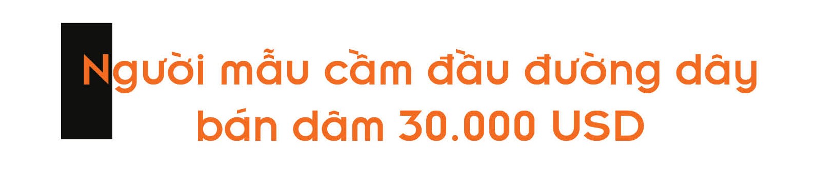 Điểm mặt những đường dây người mẫu, hoa khôi bán dâm nghìn USD ảnh 1