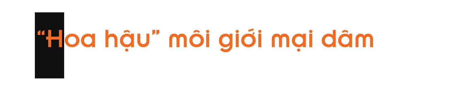 Điểm mặt những đường dây người mẫu, hoa khôi bán dâm nghìn USD ảnh 7