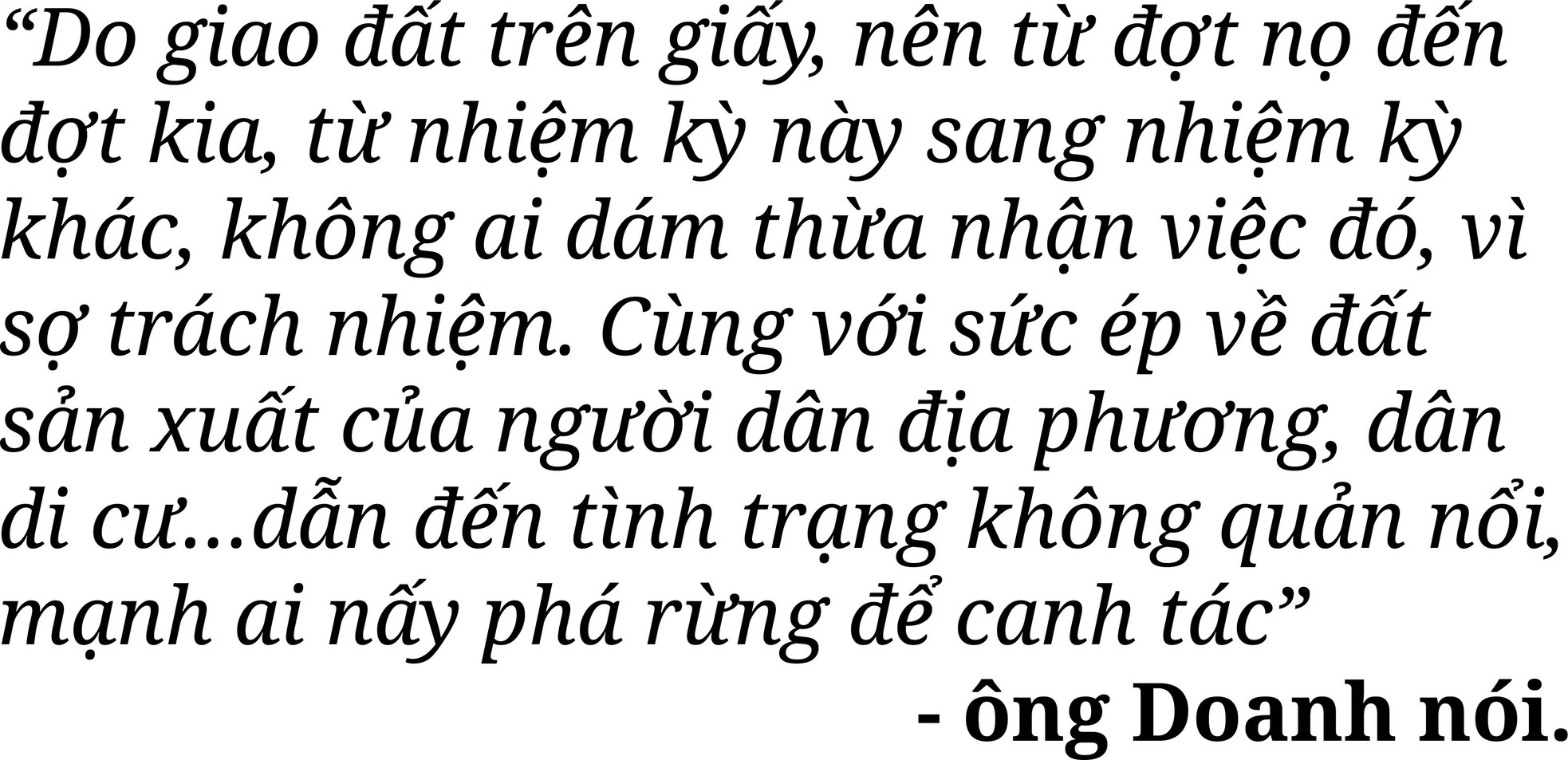 Rừng bị thảm sát, gỗ lậu về đâu? ảnh 9
