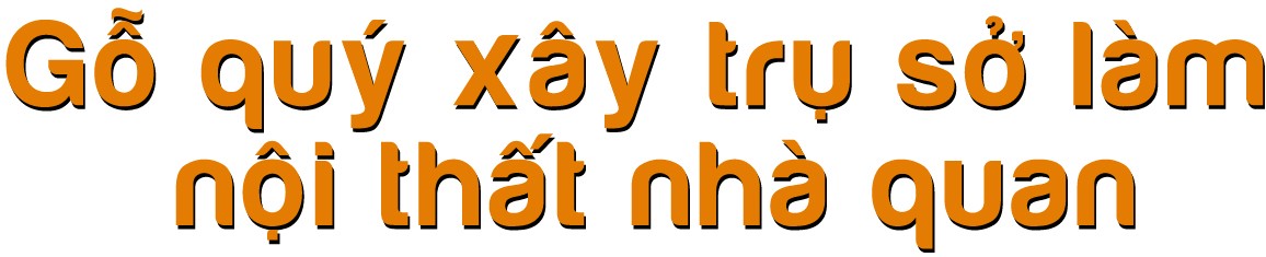 Rừng bị thảm sát, gỗ lậu về đâu? ảnh 1