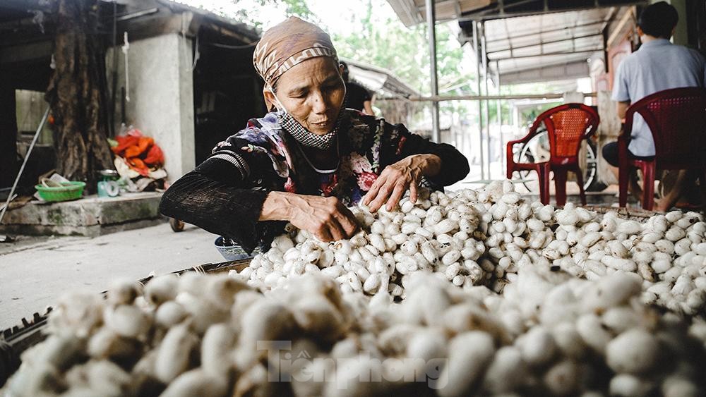 Làng tơ trăm tuổi trên đất Thành Nam ảnh 4