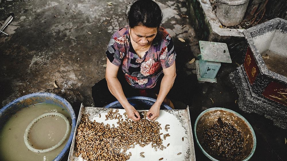 Làng tơ trăm tuổi trên đất Thành Nam ảnh 11