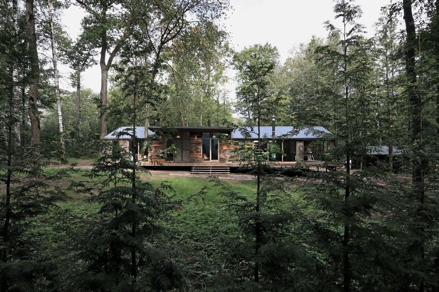 Căn nhà ẩn mình trong rừng tuyệt đẹp xây trong 10 ngày ảnh 2