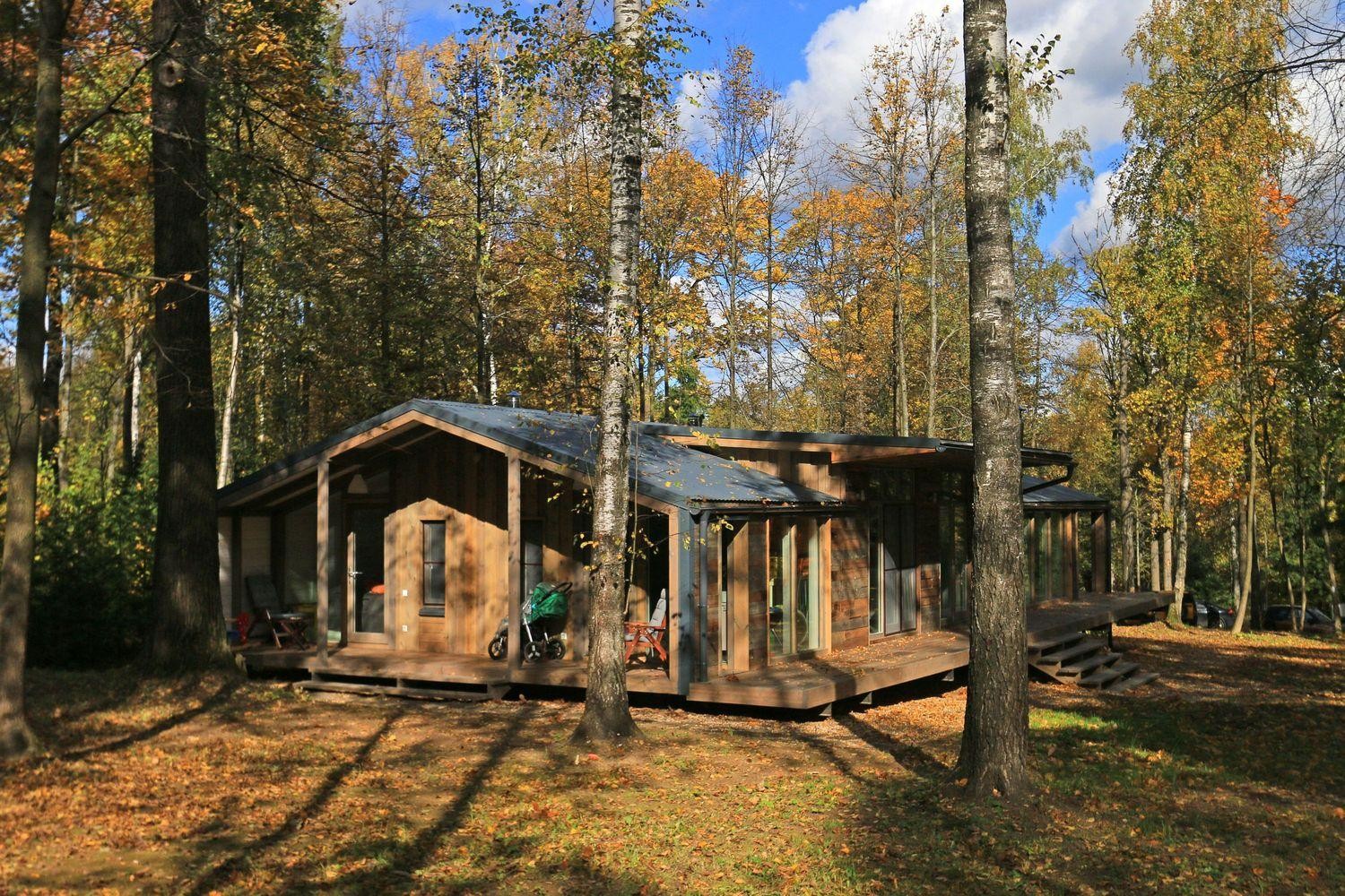 Căn nhà ẩn mình trong rừng tuyệt đẹp xây trong 10 ngày ảnh 3