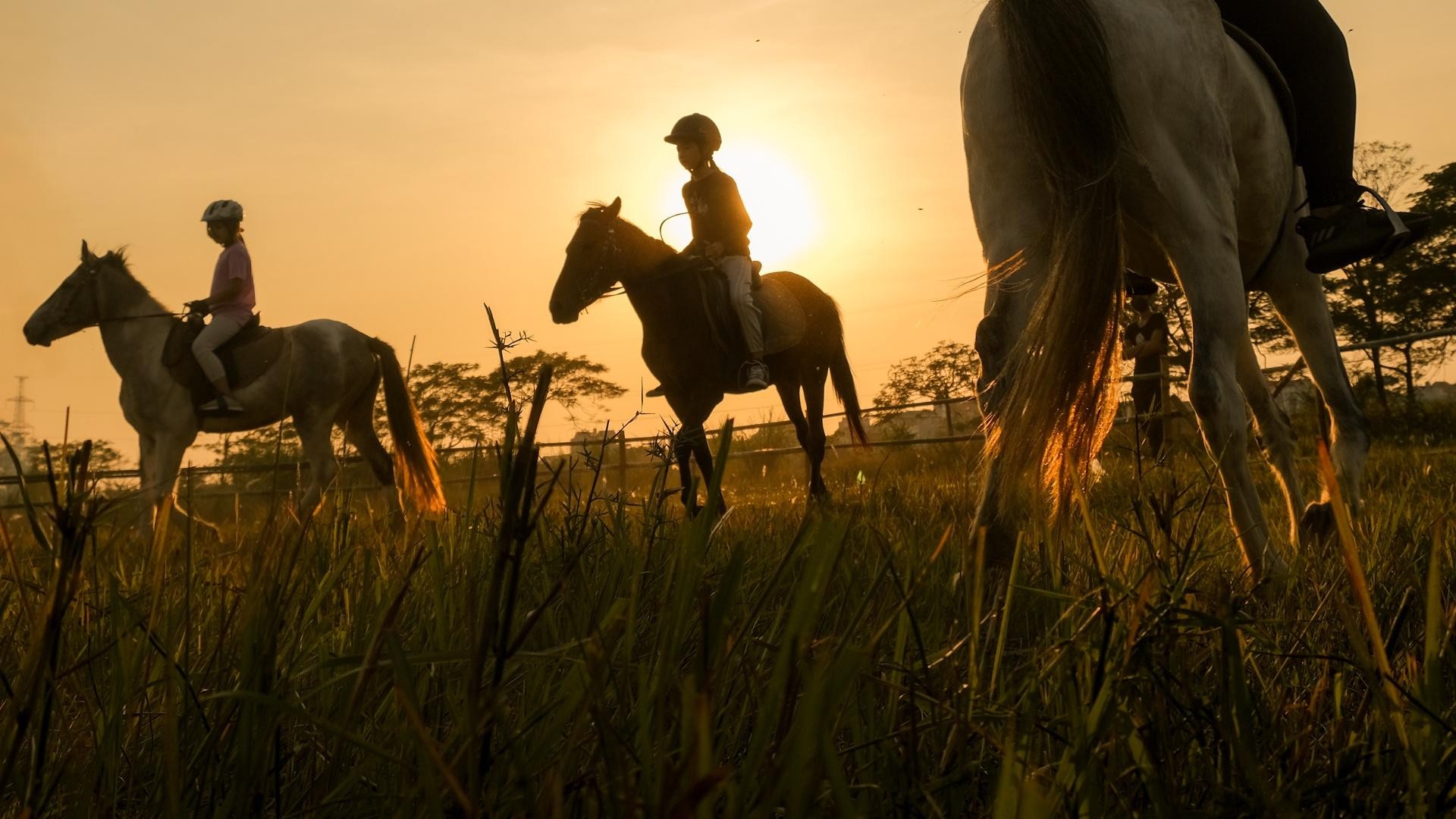 Huấn luyện viên dạy cưỡi ngựa theo phong cách châu Âu tại Hà Nội ảnh 13