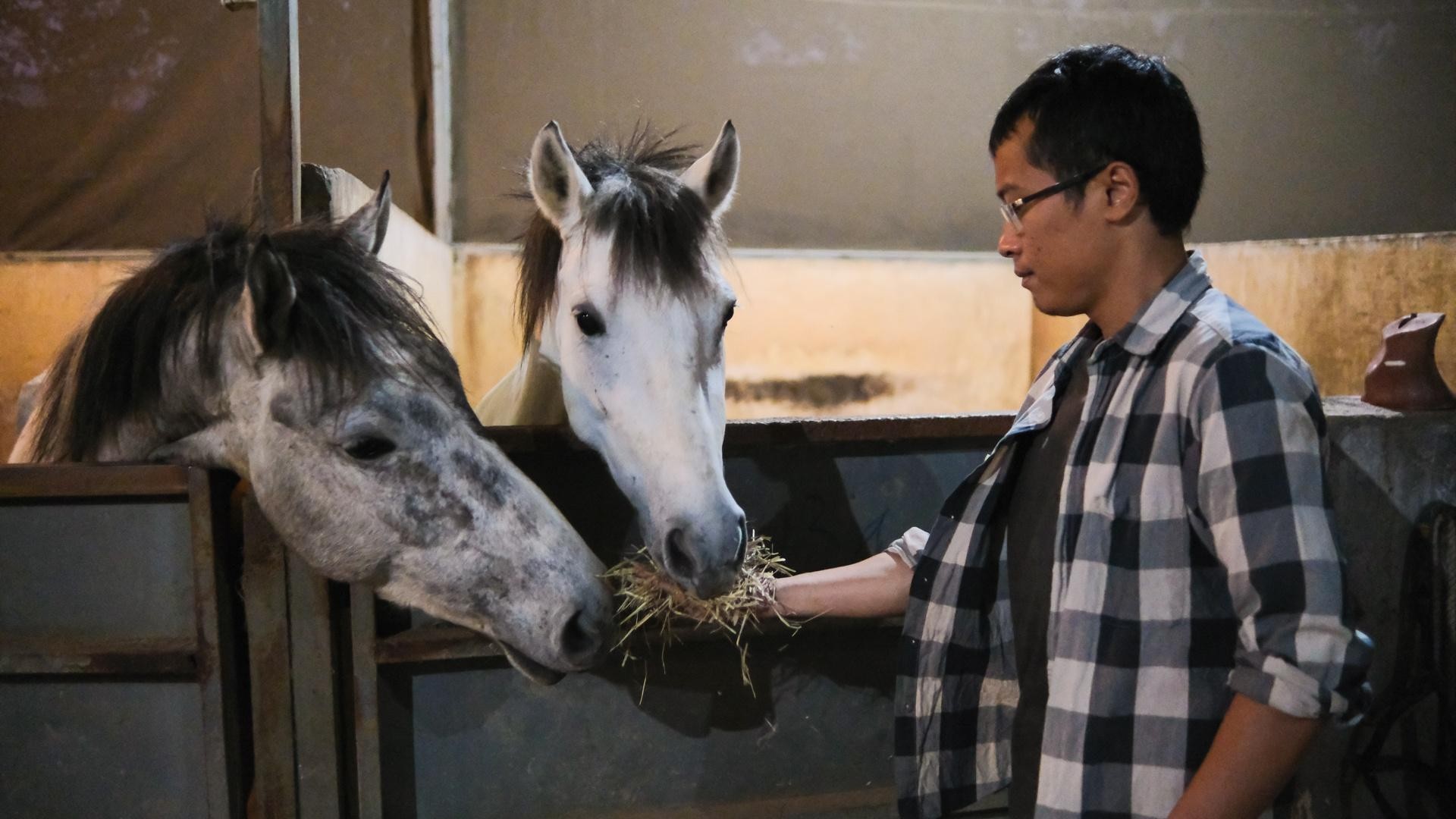 Huấn luyện viên dạy cưỡi ngựa theo phong cách châu Âu tại Hà Nội ảnh 19