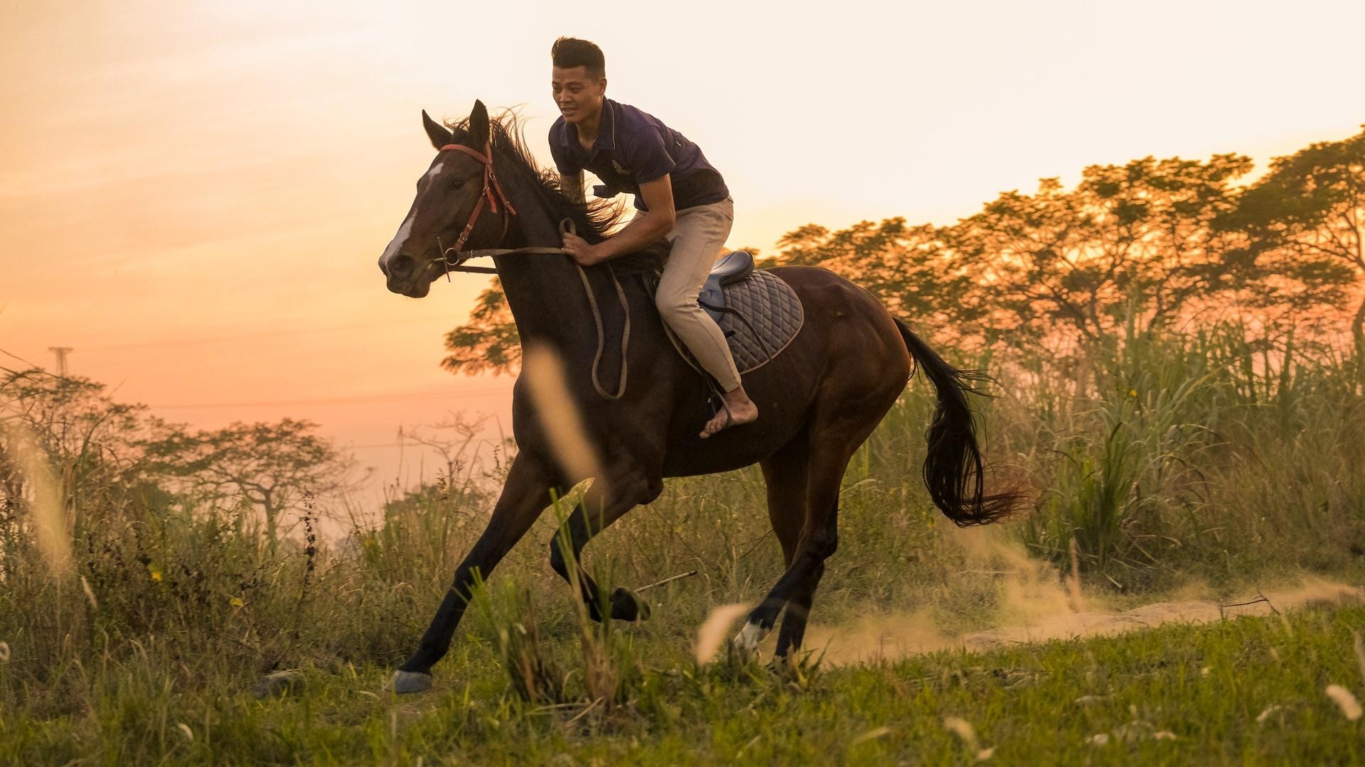 Huấn luyện viên dạy cưỡi ngựa theo phong cách châu Âu tại Hà Nội ảnh 23