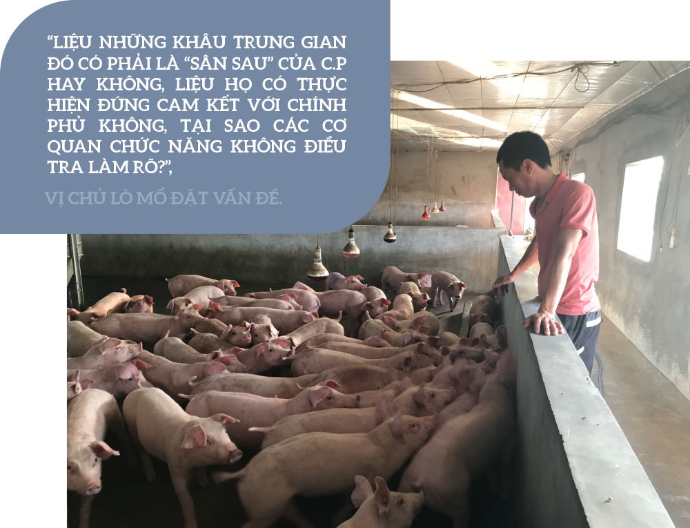 Giá lợn neo cao, ai đang hưởng lợi? ảnh 3