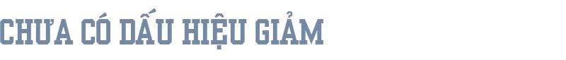 Giá lợn neo cao, ai đang hưởng lợi? ảnh 4