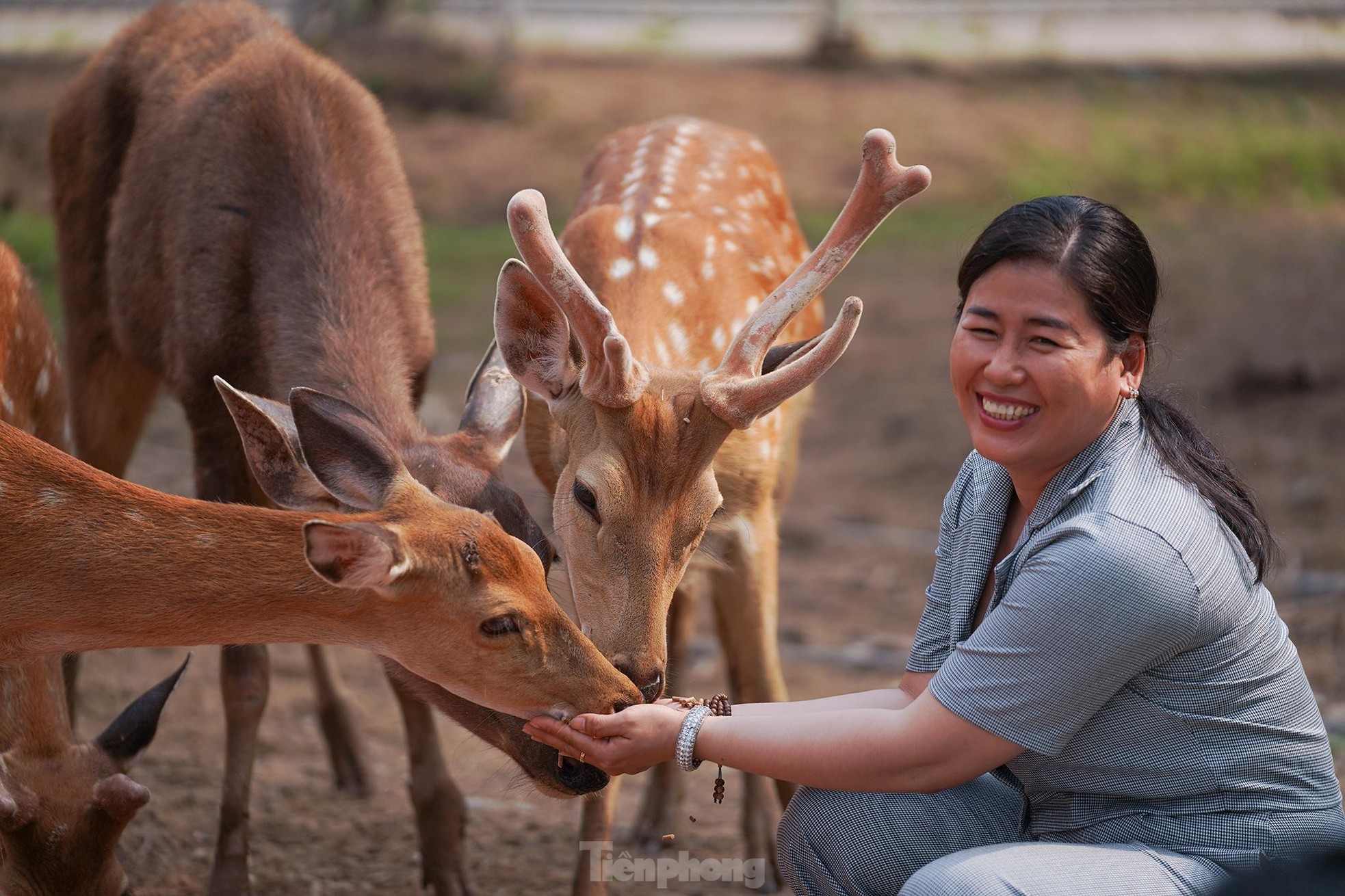 Độc đáo safari ở Long An, cách TPHCM 45 km ảnh 3