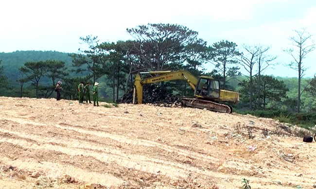 Phát hiện nhà máy xử lý rác chôn lấp trái phép 40.000 tấn rác “sống” ảnh 2