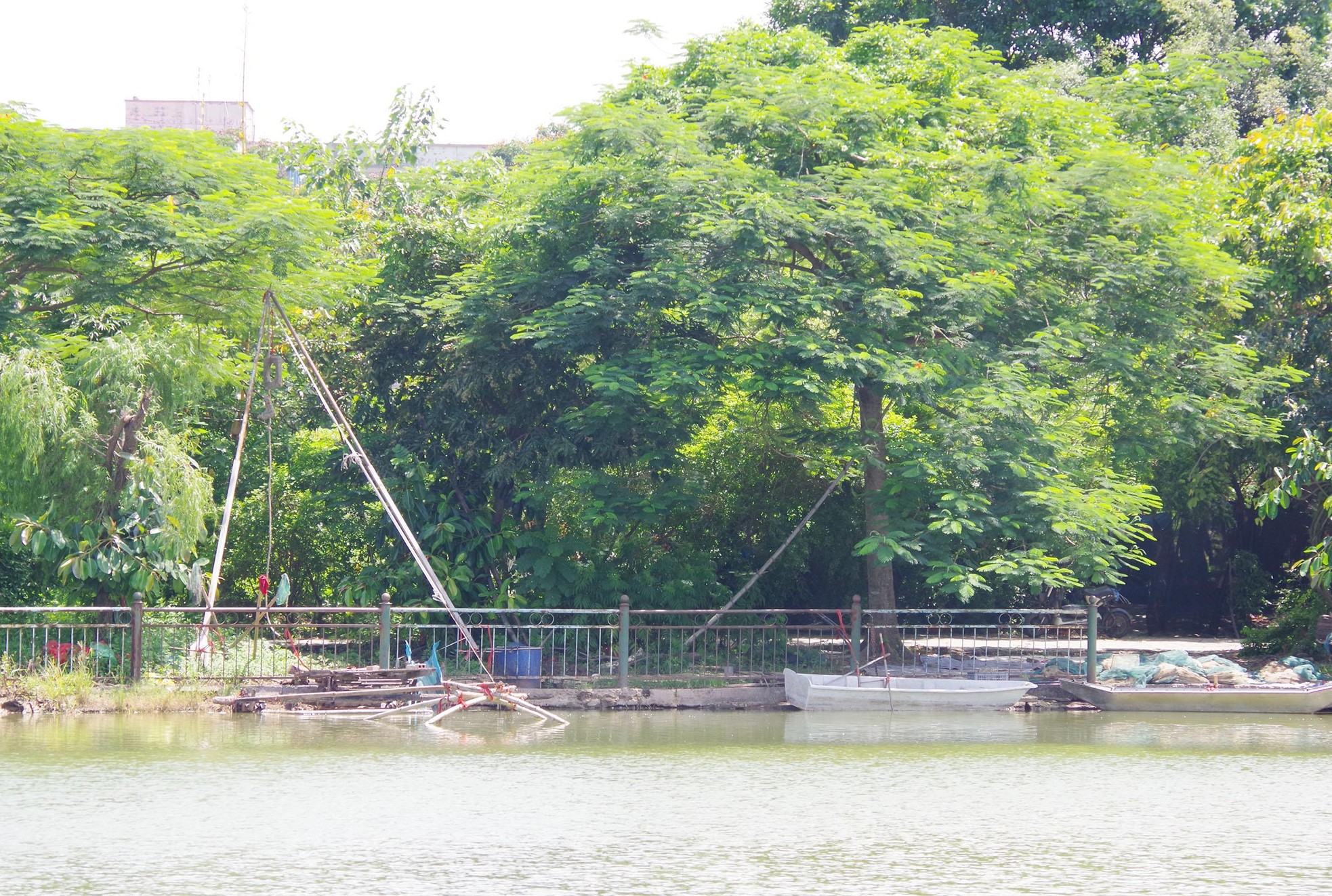 Công viên rộng hơn 15 ha bỏ hoang ở quận nội thành Hà Nội, dân không dám vào vì sợ rắn rết