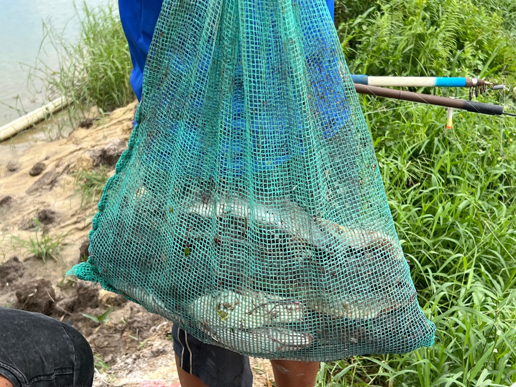 Sau mưa lớn, người dân Đà Nẵng đổ ra sông bắt cá ảnh 10