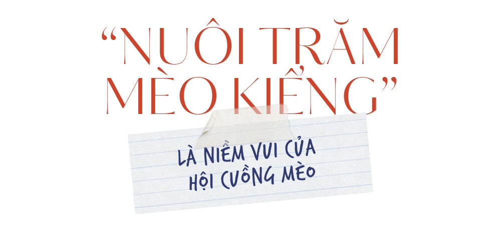 Ngôi trường trong mơ: THPT Nguyễn Thị Minh Khai - Ai rồi cũng sẽ nhớ thương! ảnh 11