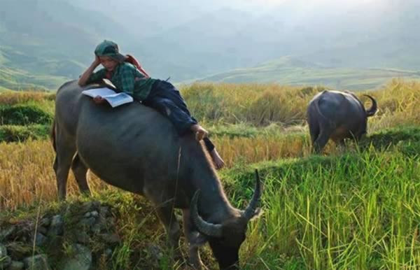 Muôn vàn kiểu học bài của học sinh ảnh 3