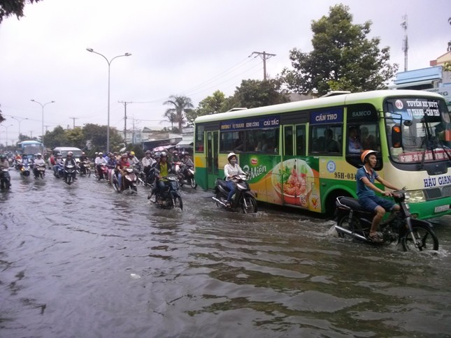 Đường phố Cần Thơ chìm trong nước do triều cường ảnh 1