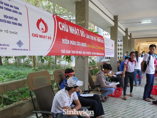 ĐH Cần Thơ ngân hàng máu sống cho người bệnh ảnh 2