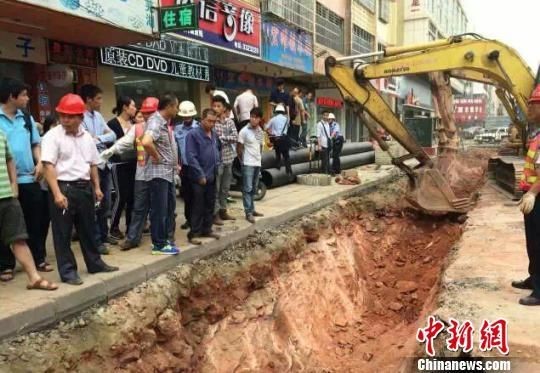 Phát hiện hàng chục quả trứng khủng long dưới nền đường ảnh 4
