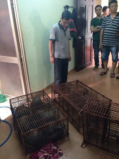Bắt giữ đối tượng buôn bán động vật hoang dã ảnh 1