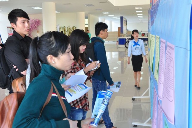 Khởi động Trung tâm việc làm lớn nhất ĐBSCL ảnh 1