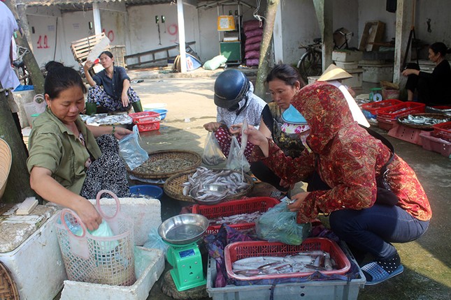 Ngư dân Hà Tĩnh dong thuyền ra khơi ảnh 2