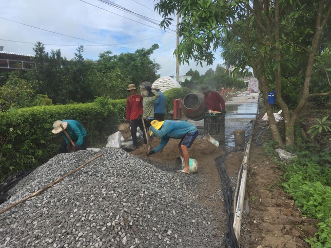 Những tuyến đường, cây cầu Bách khoa ở Tháp Mười ảnh 1
