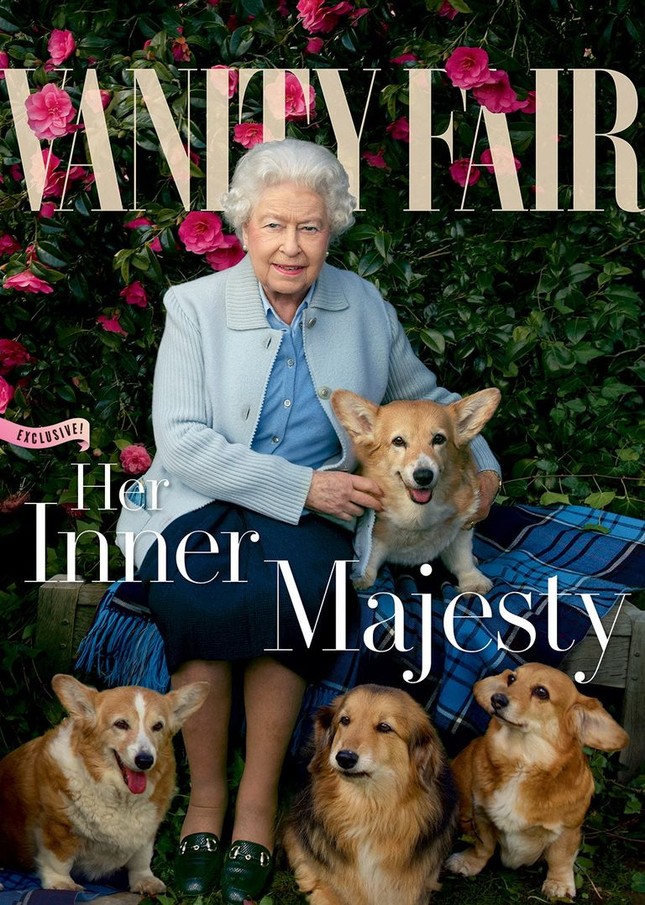 Bầy Corgi của Nữ hoàng Elizabeth thì nổi tiếng quá rồi, nhưng có những điều bạn chưa biết ảnh 8