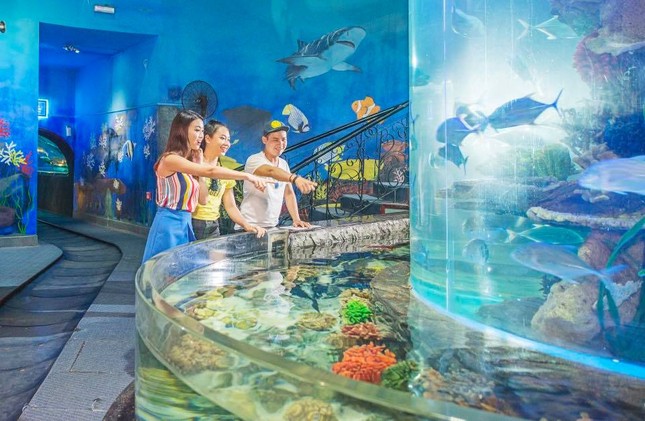 '1001' kiểu đón Giáng sinh của Sao Việt ảnh 4