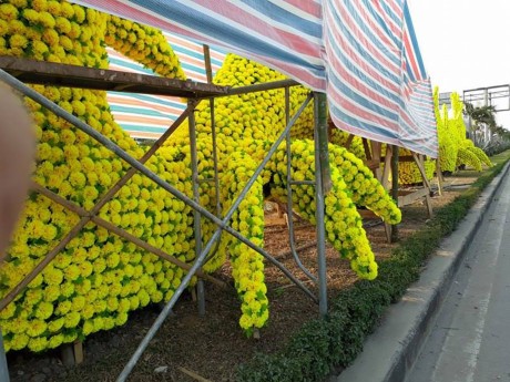 Hải Phòng khẩn cấp gỡ 'rồng lai pikachu' ảnh 5