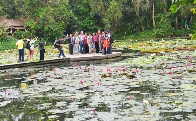 'Du lịch trách nhiệm' với nông dân Đồng Tháp ảnh 2