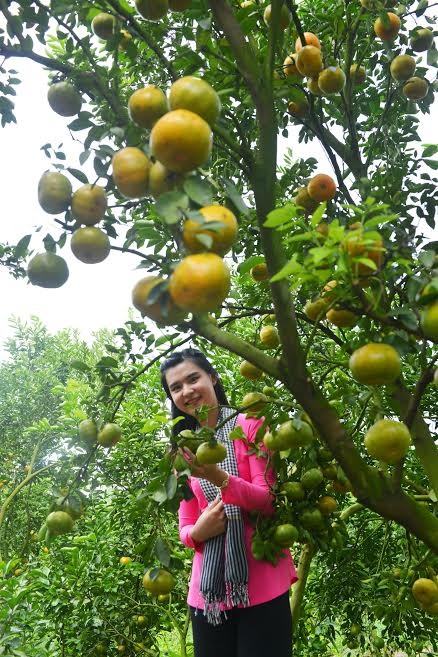 'Du lịch trách nhiệm' với nông dân Đồng Tháp ảnh 1