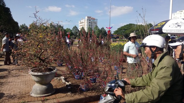 Đắk Lắk: Chợ hoa Tết ế ẩm ảnh 5