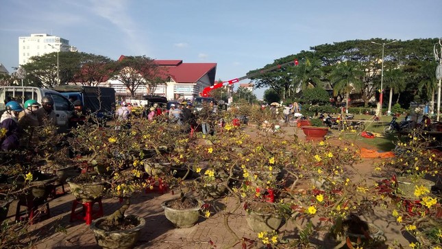 Đắk Lắk: Chợ hoa Tết ế ẩm ảnh 3