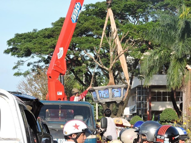 Đắk Lắk: Chợ hoa Tết ế ẩm ảnh 6
