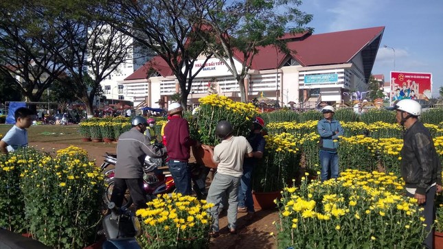 Đắk Lắk: Chợ hoa Tết ế ẩm ảnh 2