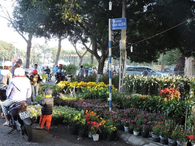 Đắk Lắk: Chợ hoa Tết ế ẩm ảnh 7