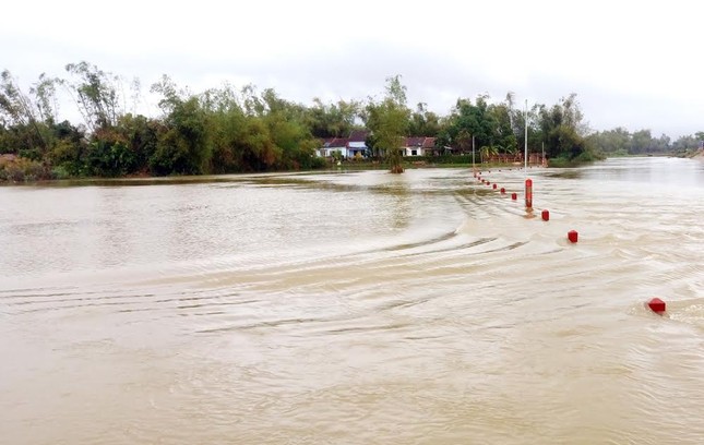 Bình Định: Lũ cuốn trôi hàng trăm tấn lúa giống vừa gieo ảnh 5