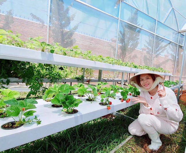 Lý Nhã Kỳ khoe vườn dâu tây, rau sạch ở Đà Lạt khiến fan ngây ngất ảnh 2