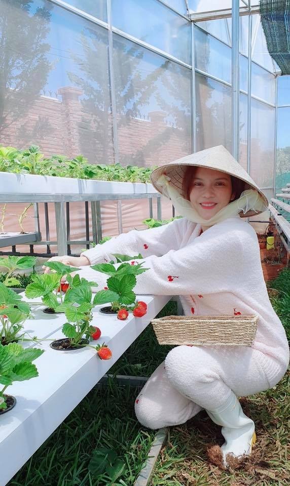 Lý Nhã Kỳ khoe vườn dâu tây, rau sạch ở Đà Lạt khiến fan ngây ngất ảnh 1