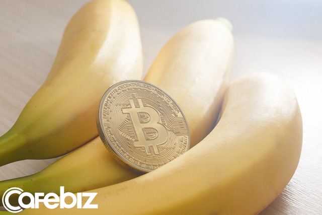 Vì sao tỷ phú Mark Cuban nói không với bitcoin ảnh 1
