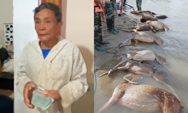 Showbiz 29/10: BTV thời tiết VTV chia sẻ 2 ngày 'trực chiến' bão số 9 với 30 lần lên sóng ảnh 2