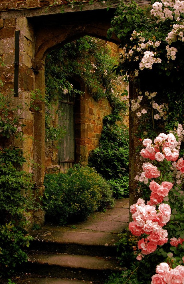 Những ngôi nhà phủ đầy hoa hồng khiến ai nhìn cũng mê ảnh 17