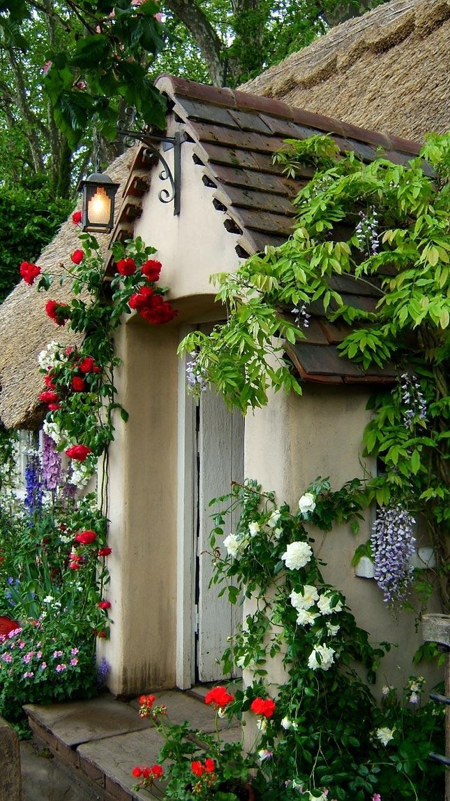 Những ngôi nhà phủ đầy hoa hồng khiến ai nhìn cũng mê ảnh 7