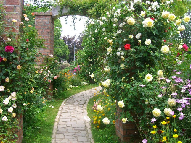Những ngôi nhà phủ đầy hoa hồng khiến ai nhìn cũng mê ảnh 15