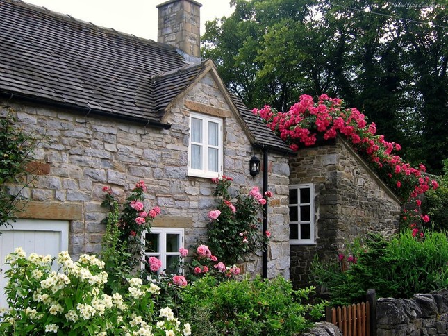 Những ngôi nhà phủ đầy hoa hồng khiến ai nhìn cũng mê ảnh 6