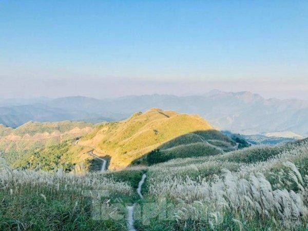 Kỳ vĩ thiên đường lau miền biên viễn ảnh 2